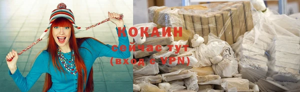 прущий лед Алзамай