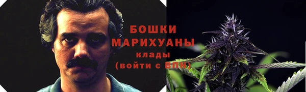 ГАЛЛЮЦИНОГЕННЫЕ ГРИБЫ Протвино