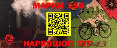 амф Кунгур