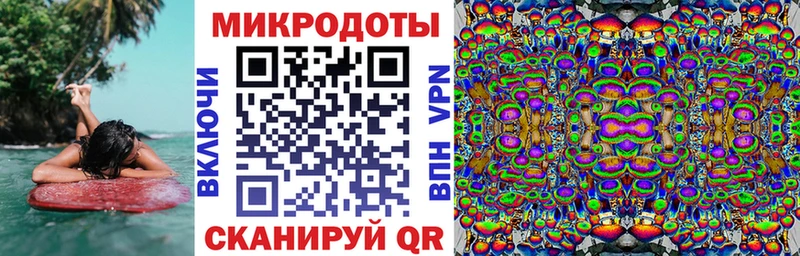 Галлюциногенные грибы Psilocybine cubensis  Коряжма 
