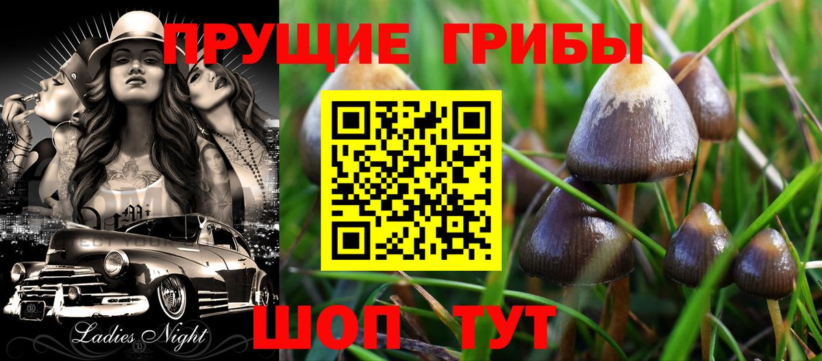 Коряжма  Галлюциногенные грибы Cubensis  Вход с VPN  Псилоцибиновые грибы Cubensis 