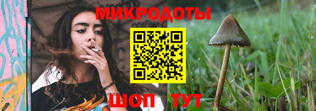 Галлюциногенные грибы мицелий Коряжма